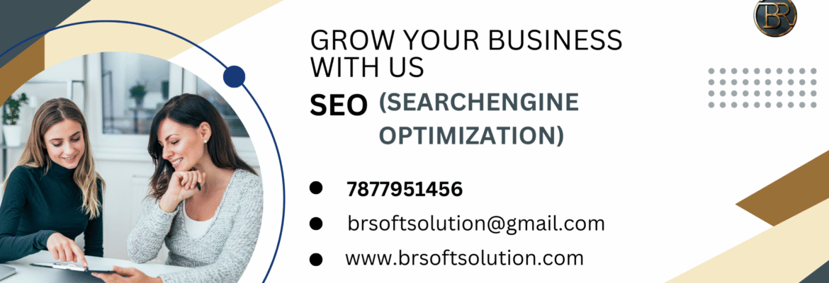 br soft solution – best seo company in jaipur, digital marketing, web designing, local seo service in jaipur