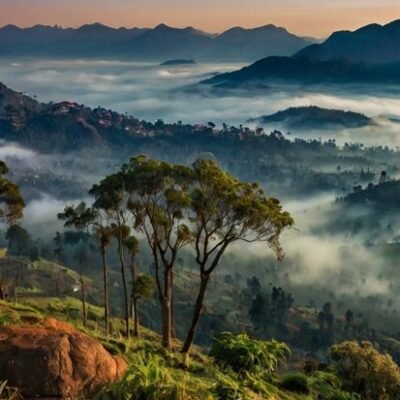 Explore Chennai To Kodaikanal Tour Package At Affordable Pricing