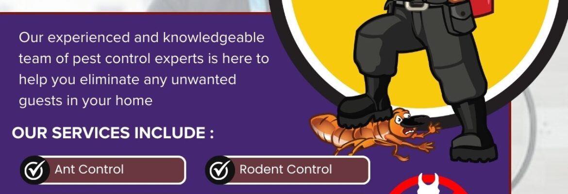 Pest Control Services in Bangalore | Safe & Effective Solutions