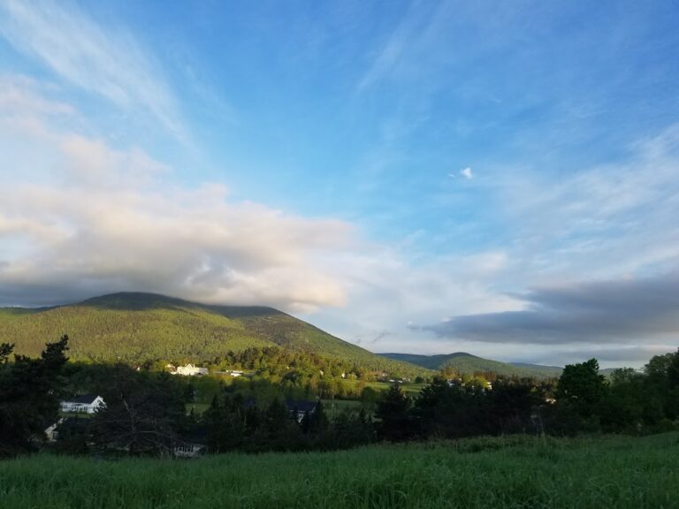 2017 05 29 1 768x576