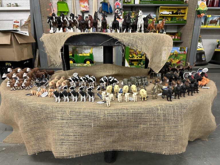 469459192 1115199183727808 7328065688174520264 n 768x576